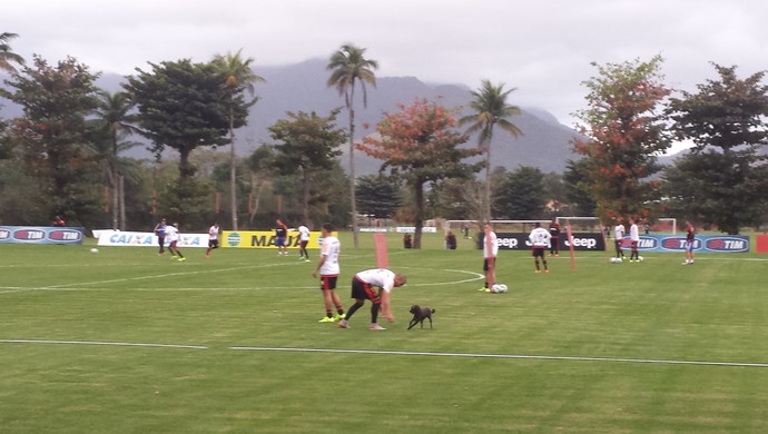 Emerson com cachorro no Ninho do Urbu no treino do Flamengo (Foto: Raphael Zarko)