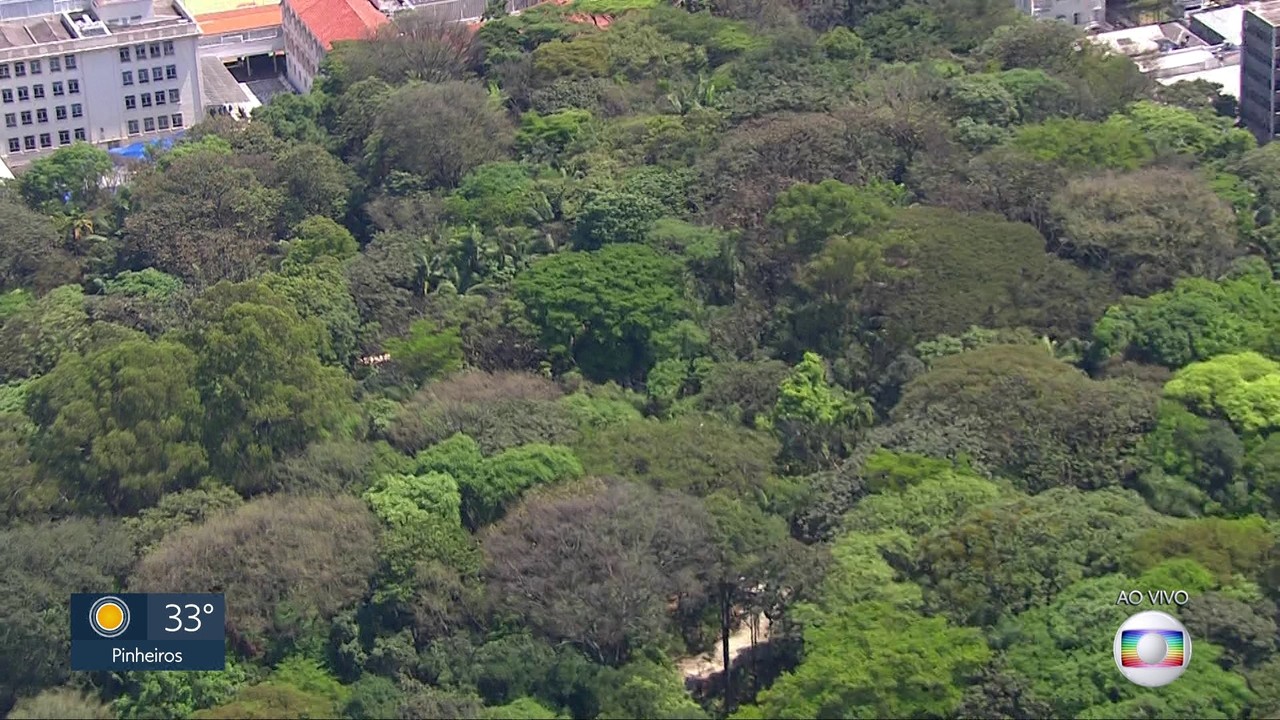 Prefeitura publica edital de concessão do Parque Trianon