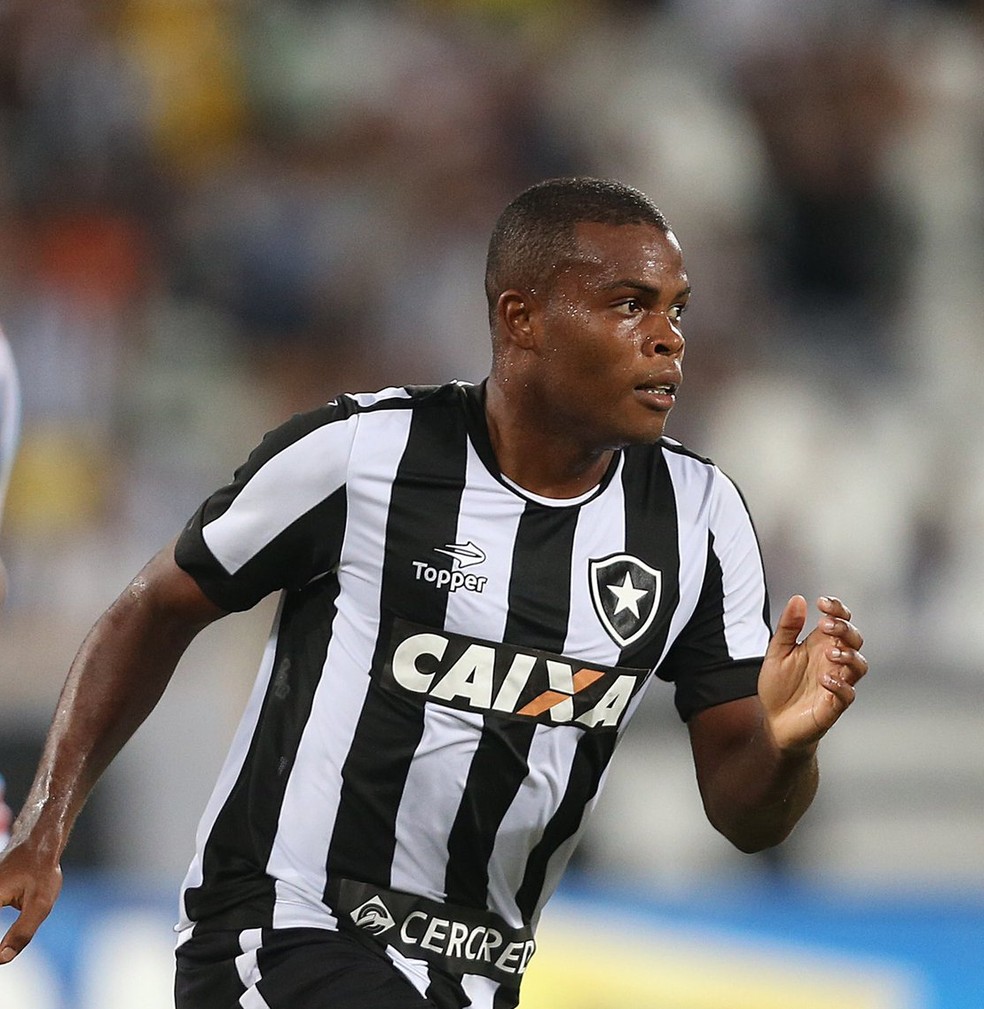 Vinicius Tanque, Botafogo (Foto: Divulgação)