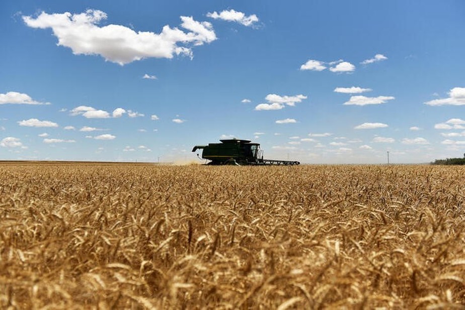 Cerca de 51% da safra de trigo de inverno dos EUA ainda estava em áreas que enfrentam seca em 25 de abril, disse o governo na semana passada