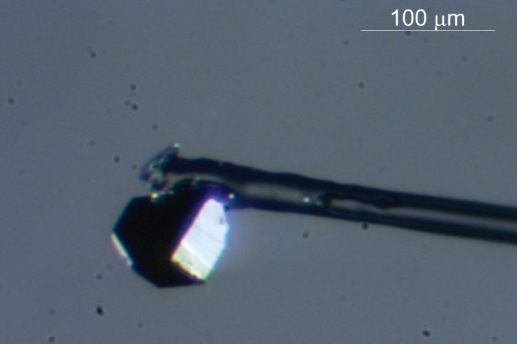 Diamante que escondia o mineral nunca visto antes  (Foto: Nicole Meyer / Universidade de Alberta)