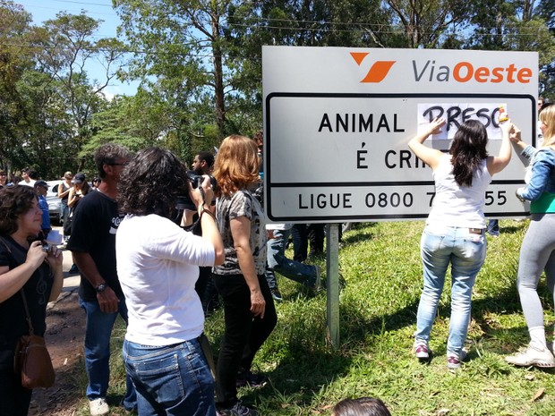 Manifestantes em defesa dos animais mudam placa orientação (Foto: Geraldo Nacimento/G1)
