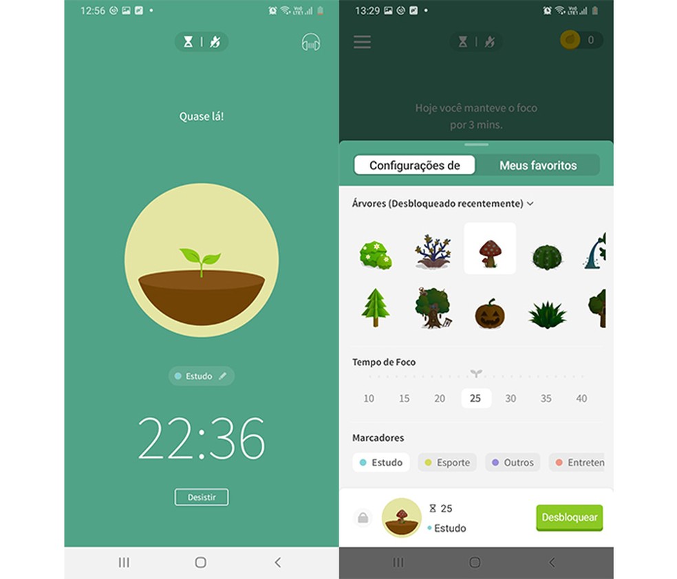 Aplicativo Forest é ideal para gerenciar tempo e focar nas tarefas — Foto: Reprodução/ Marcela Franco