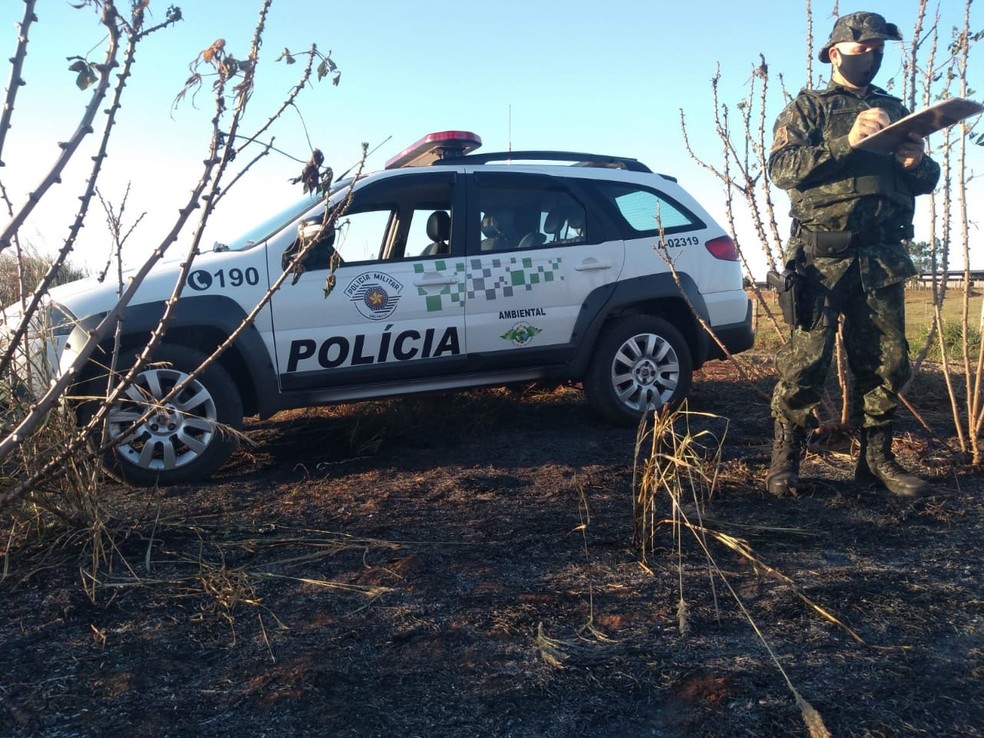 Fiscalização constatou queimadas em propriedades rurais em Rosana — Foto: Polícia Militar Ambiental