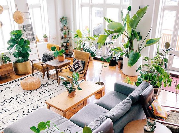O perfil @thejungalow traz ambientes coloridos, cheios de plantas e de ideias para colocar em prática (Foto: Reprodução / @thejungalow / Instagram)