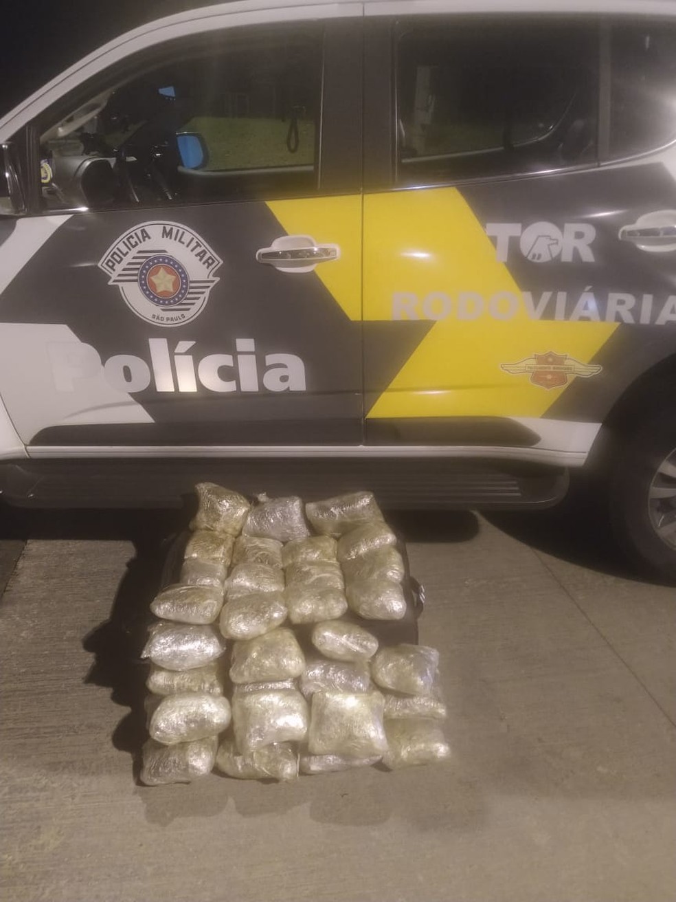 Foram apreendidos 33 pacotes e uma porção de skank, totalizando 11 quilos da droga — Foto: Polícia Rodoviária