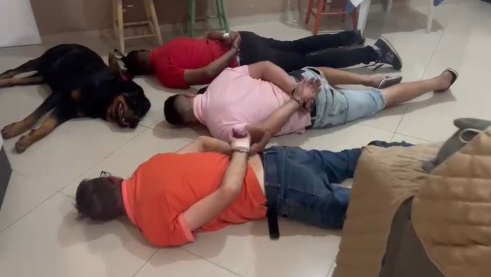 Cachorro "se rendeu" ao lado dos donos, presos por suspeita de tráfico — Foto: Polícia Civil