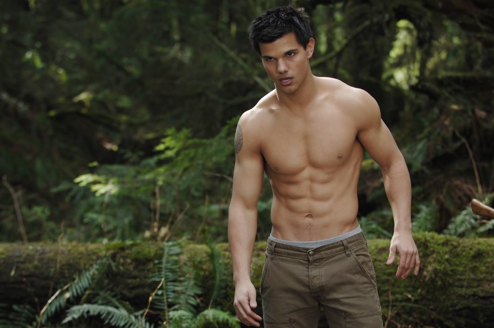 O autor Taylor Lautner em cena da saga Crepúsculo (Foto: Reprodução) 