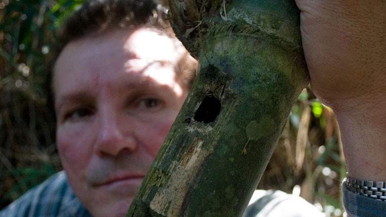 Ditão mostra furo no bambu onde o saci faz seu ninho (Foto: Cris Bierrenbach/Editora Globo)