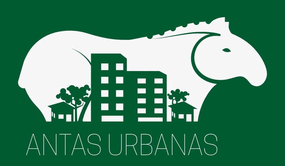 Projeto que mapear antas que 'passeiam' por Campo Grande — Foto: INCAB/Divulgação