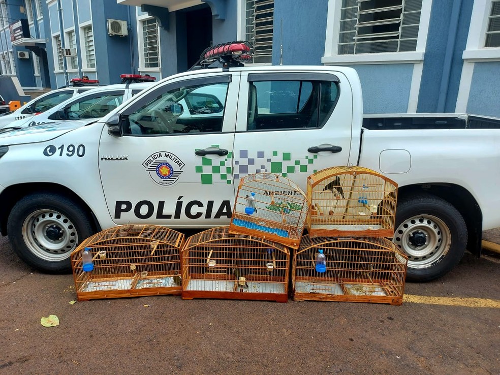 Polícia Ambiental encontrou anilhas adulteradas — Foto: Polícia Ambiental