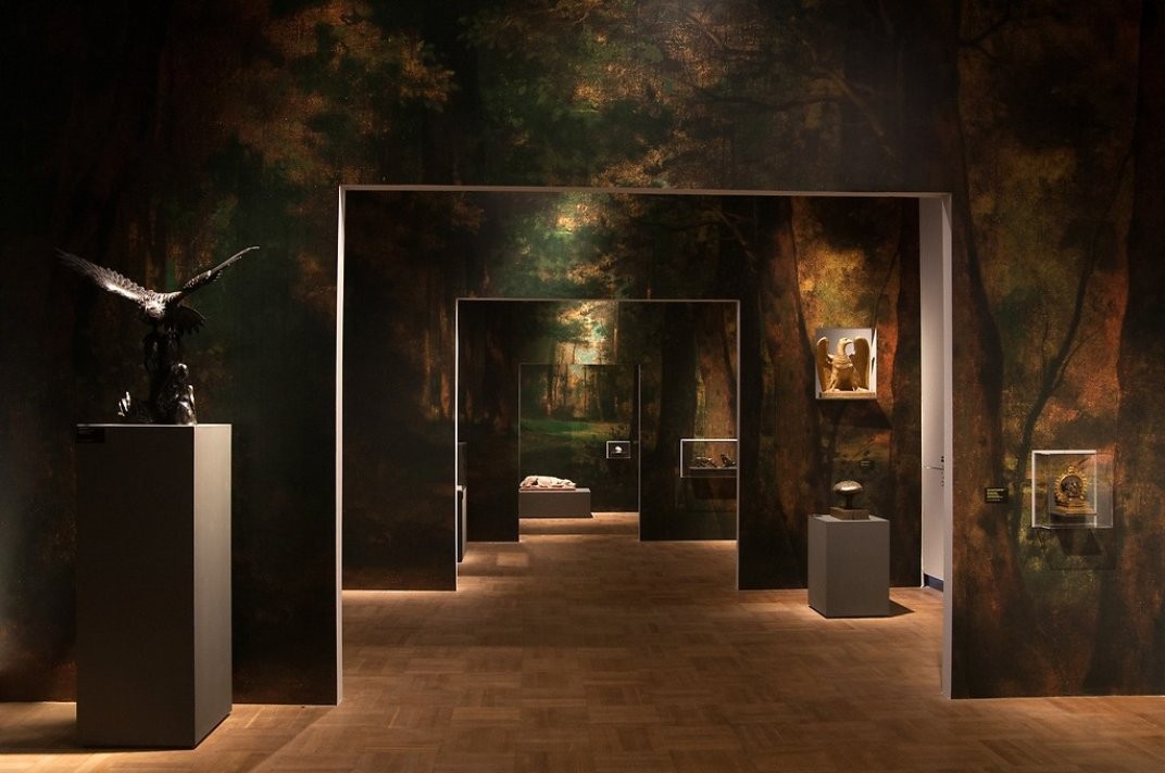 Sala da exibição que tem como objetivo simular o ambiente de uma floresta (Foto: National Museum in Warsaw)