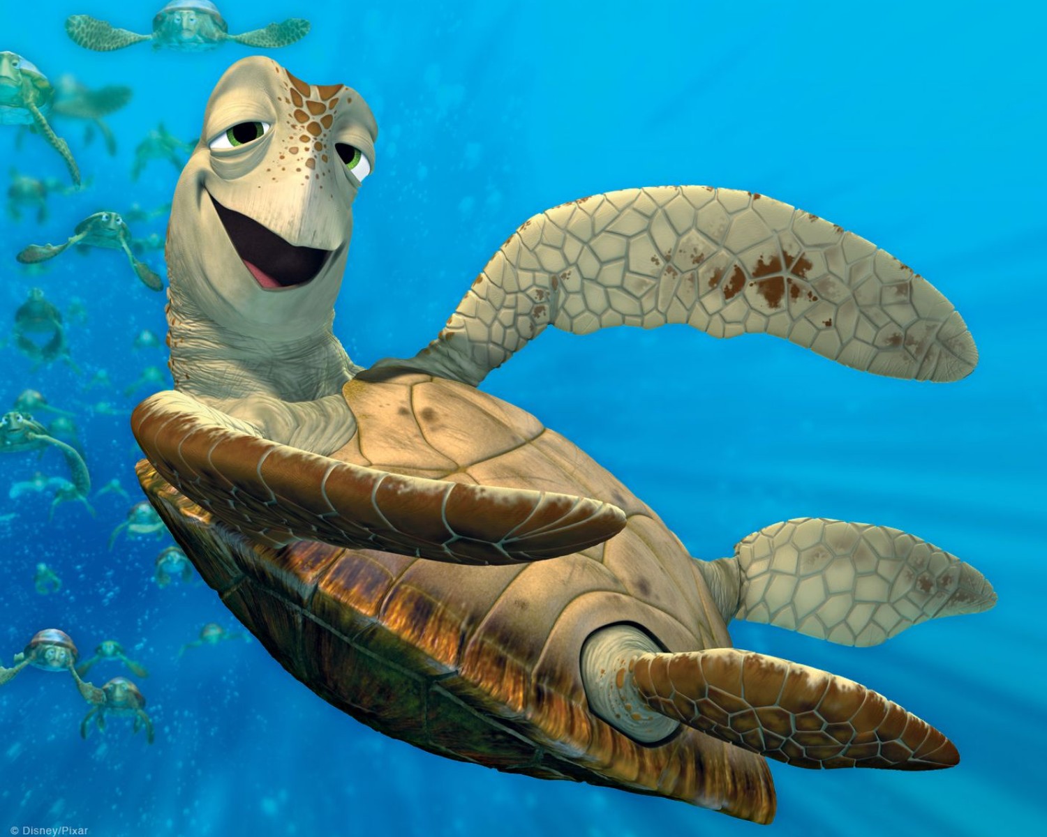 As tartarugas costumam fazer longas viagens em grupo em busca de comida e, depois, voltam para o seu ninho (Foto: Disney / Procurando Nemo / Divulgação)
