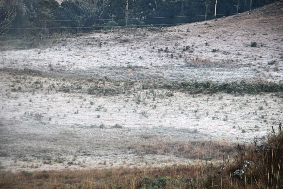 Campos das áreas mais baixas cobertos com uma fina camada de gelo — Foto: Mycchel Legnaghi/ São Joaquim Online