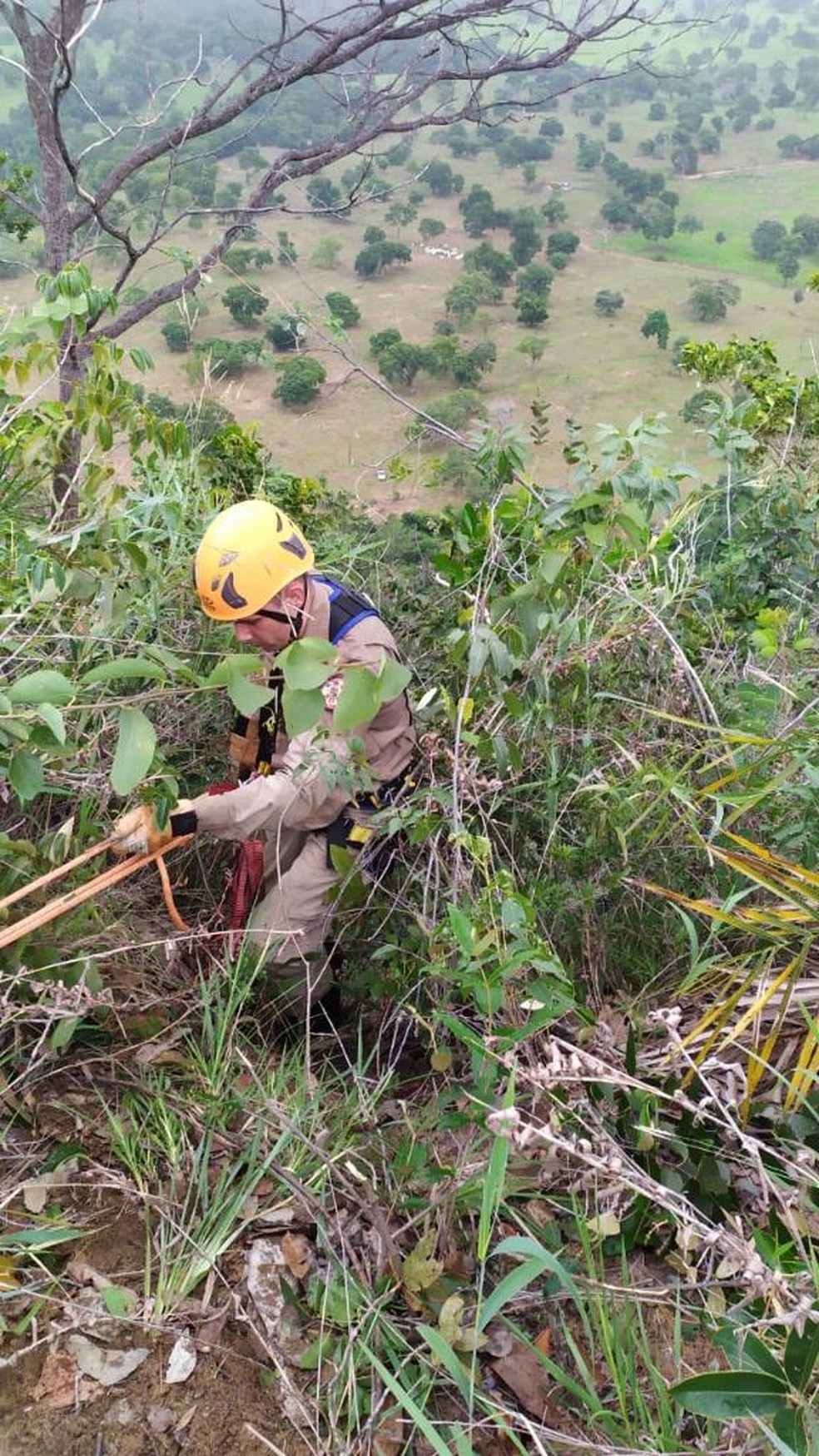 Resgate da cadela durou quatro horas  — Foto: Corpo de Bombeiros