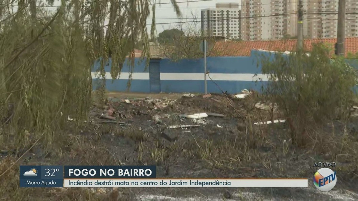Un feu de terre s’approche des maisons et cause des nuisances à Ribeirão Preto, SP |  Ribeirao Preto et la France