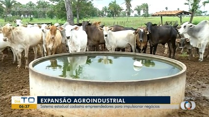 Entenda como funciona o sistema unificado de sanidade agroindustrial