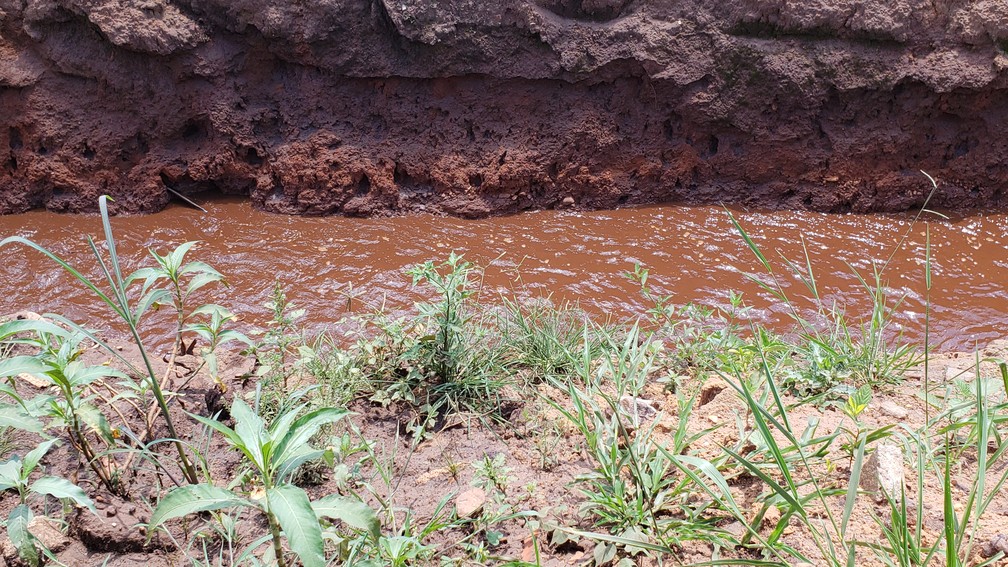 Ribeirão Ferro Carvão foi invadido por mar de lama — Foto: Raquel Freitas/G1
