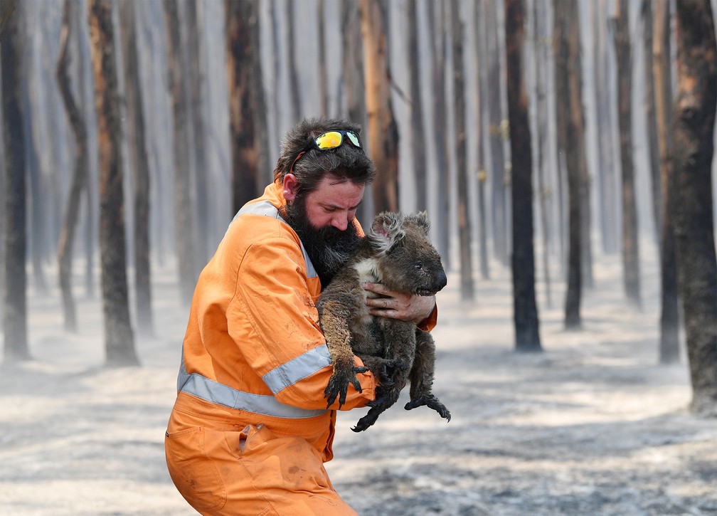 7 de janeiro - Resgatista socorre um coala de uma floresta queimada perto de Cape Borda em Kangaroo Island, sudoeste de Adelaide, na Austrália — Foto: David Mariuz/AAP Image via Reuters