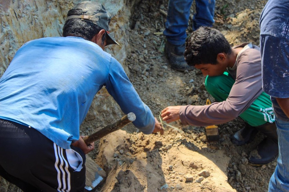 Carpinteiro continua escavações e acha crânio de réptil gigante de 8 milhões de anos no AC — Foto: Eldson Júnior/Arquivo pessoal 