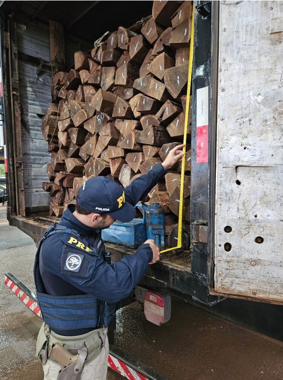 PRF apreende quase 90m³ de madeira em RO — Foto: Reprodução/PRF
