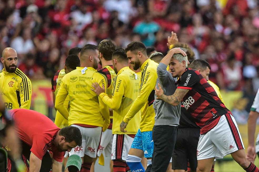 Pedro abraça Paulo Sousa na comemoração do gol do Flamengo contra o Goiás — Foto: Thiago Ribeiro/AGIF