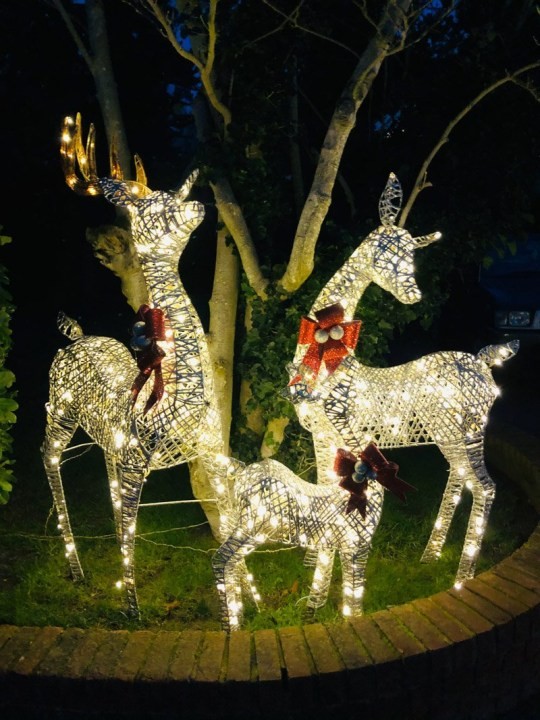 Inglesa gasta 50 mil reais em decorações natalinas (Foto: Reprodução / Metro / Joanne Smith)