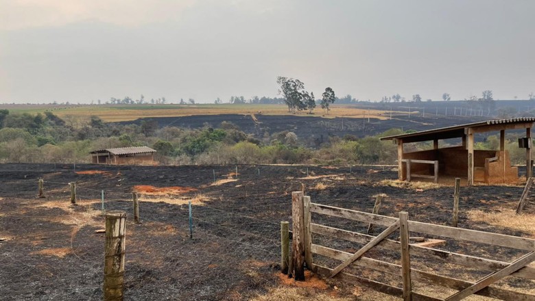 embrapa-fogo-piquete-fazenda (Foto: Embrapa Pecuária Sudeste)