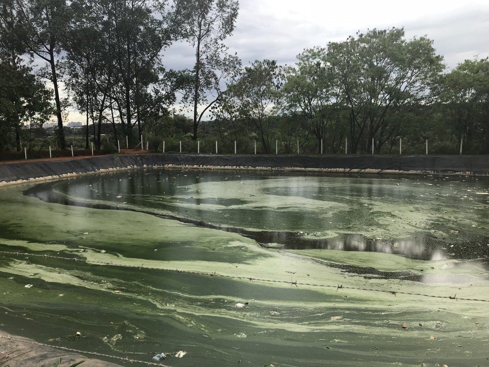 Lagoa que recebe drenagem de chorume do Lixão da Estrutural (Foto: Marília Marques/G1)