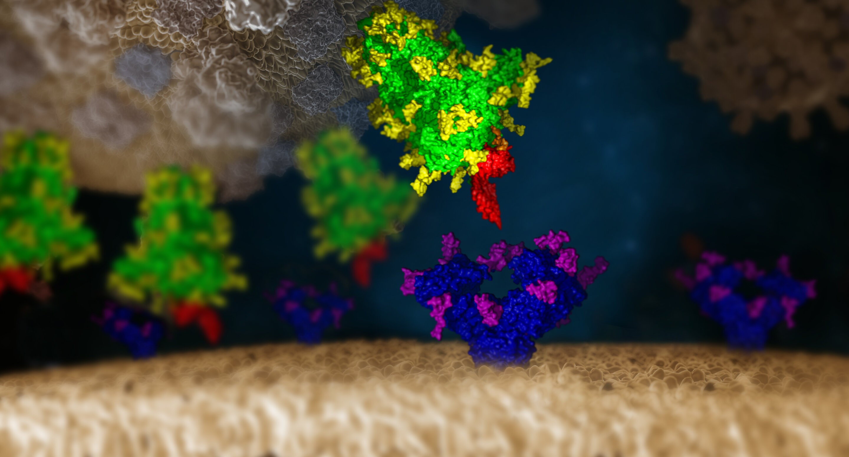 O vírus Sars-Cov-2 (parte superior) envolvendo uma célula humana (parte inferior) (Foto: Chris Oostenbrink)