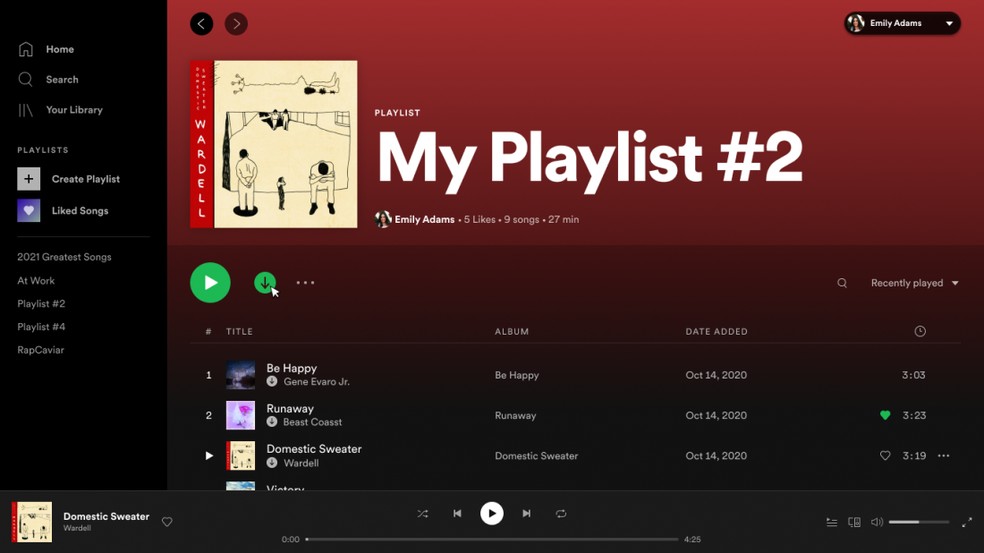 Botão de download permite baixar músicas do Spotify para ouvir offline no PC — Foto: Divulgação/Spotify