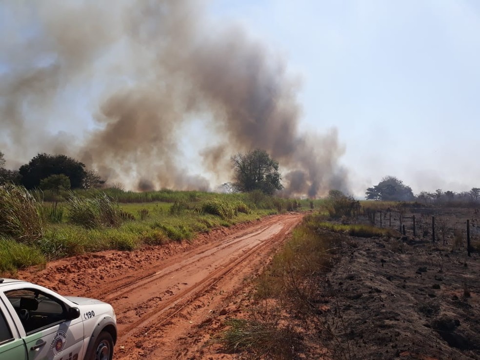 Incêndio foi registrado no Parque Estadual Rio do Peixe (Foto: Polícia Ambiental/Cedida)