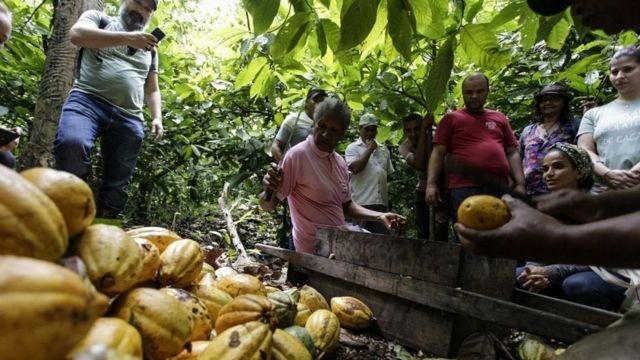 As técnicas agrícolas capazes de reduzir a dependência do Brasil por fertilizantes
