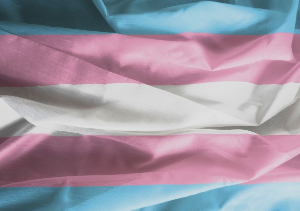 Dia da Visibilidade Trans: uma linha do tempo da luta e dos direitos dos transexuais (Foto: Getty Images)