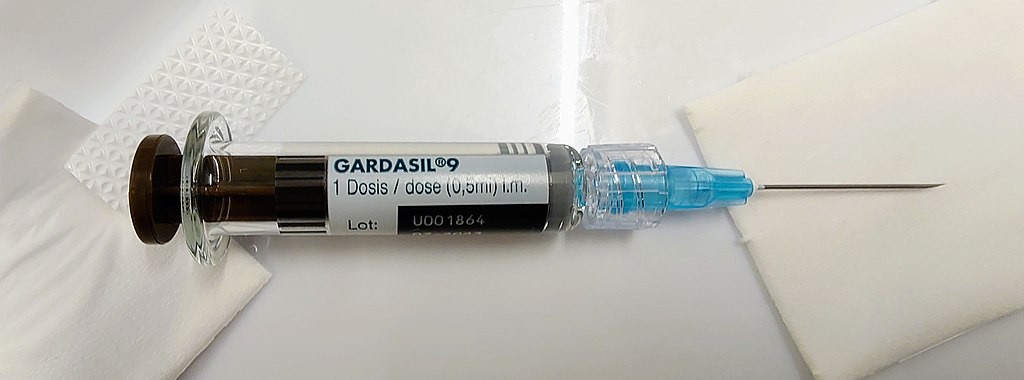 Imunizante quadrivalente contra o HPV  (Foto: Tintin0312/Wikimedia Commons)