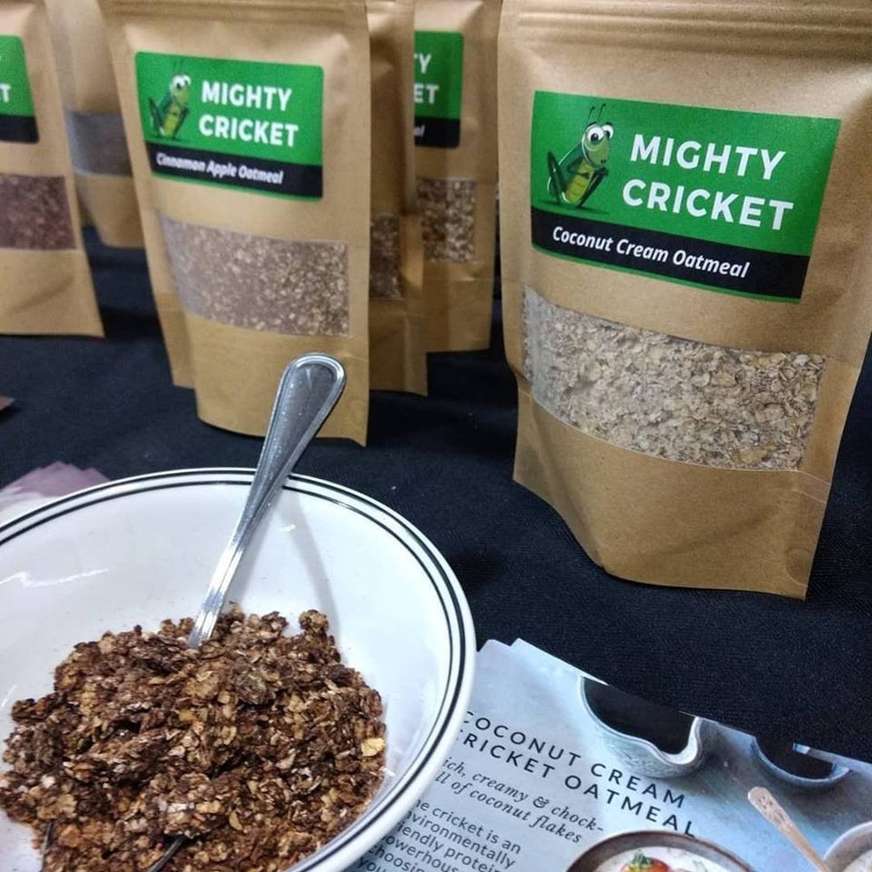 Mighty Cricket é uma empresa dedicada à produção de suprimentos de proteína à base de insetos. — Foto: Divulgação