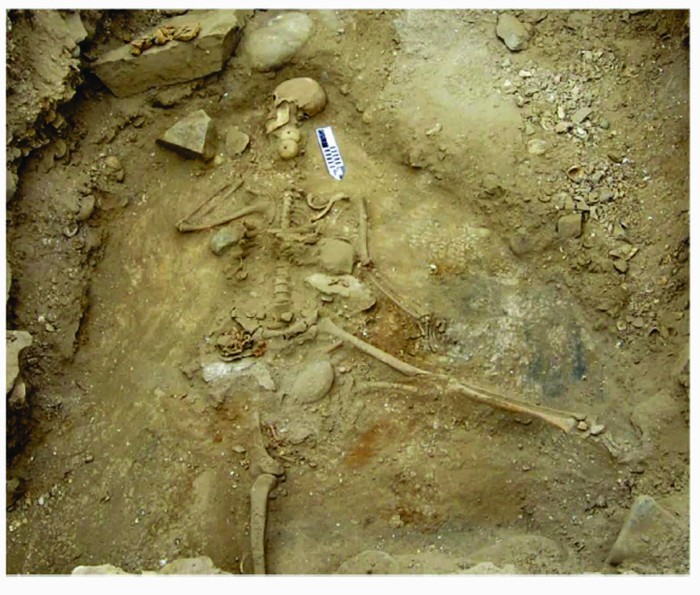 Esqueleto encontrado no sítio arqueológico de Copaca, no Chile  (Foto:  Pedro Andrade)