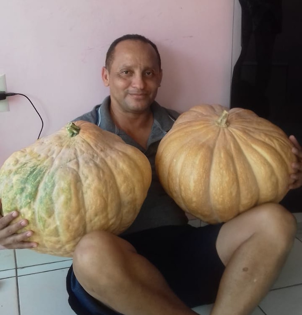 John AraÃºjo 'ostenta' os frutos gigantes que nasceram no telhado da casa dele (Foto: John AraÃºjo)