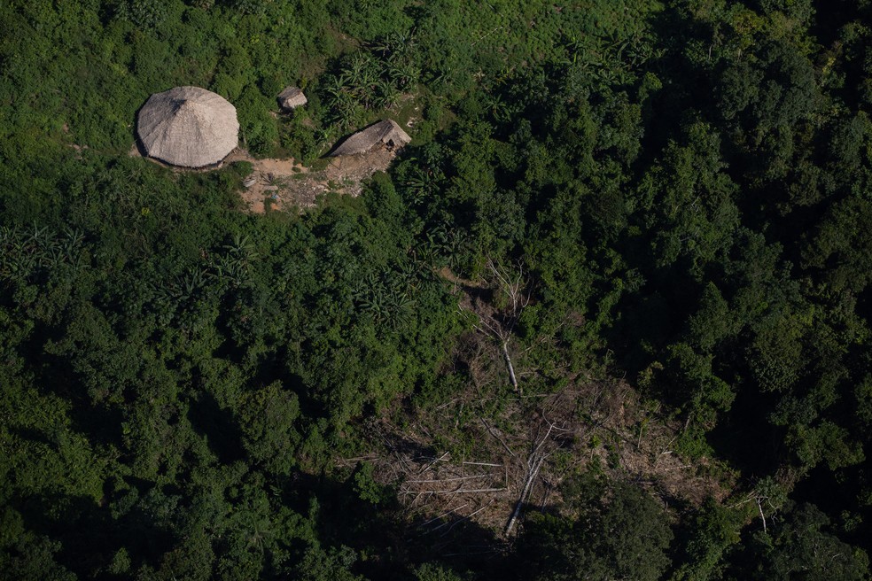 Imagens aéreas feitas em janeiro mostram que a destruição ambiental está cada vez mais próxima das comunidades — Foto: © Bruno Kelly/HAY