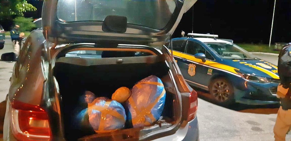 No total, 54,6 kg de maconha foram apreendidos na BR-232, em São Caetano — Foto: PRF/Divulgação