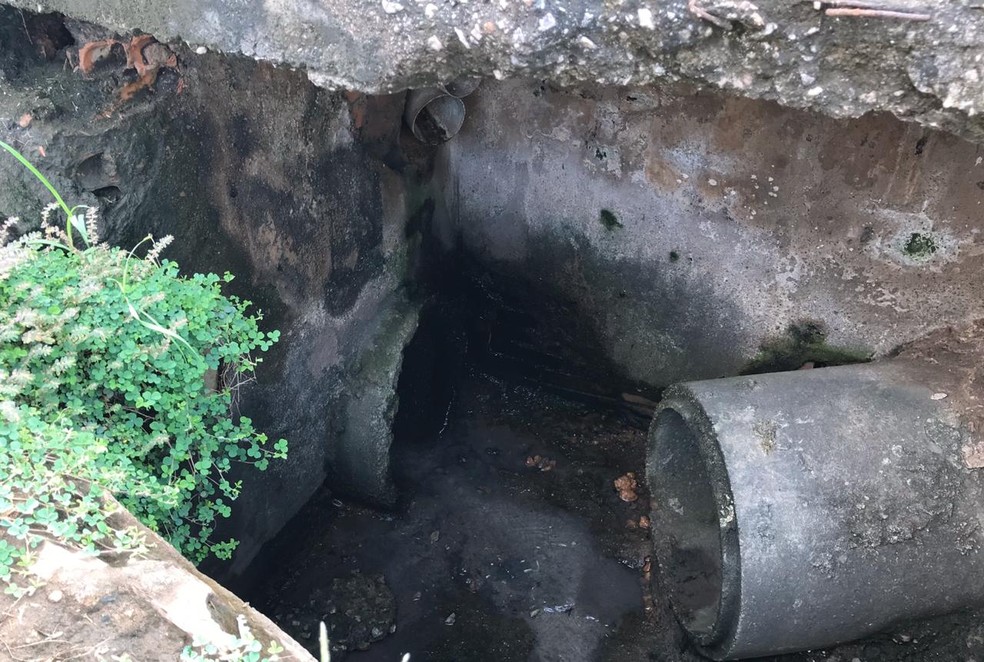 Esgoto aberto na região central de Porto Velho — Foto: Ana Kézia Gomes/G1 