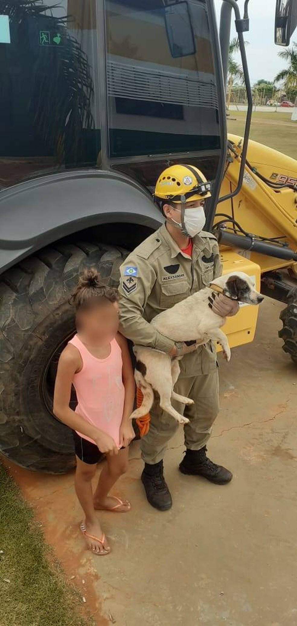 Cachorro foi resgatado por bombeiros depois de ficar preso debaixo de um continer neste domingo (16) em Lucas do Rio Verde  Foto: Corpo de Bombeiros de Lucas do Rio Verde