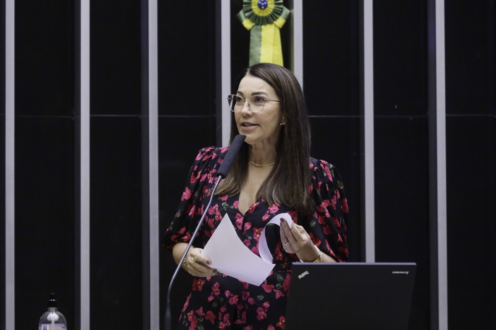 Margarete Coelho, relatora do PEC sobre imunidade parlamentar — Foto: Najara Araújo/Câmara dos Deputados