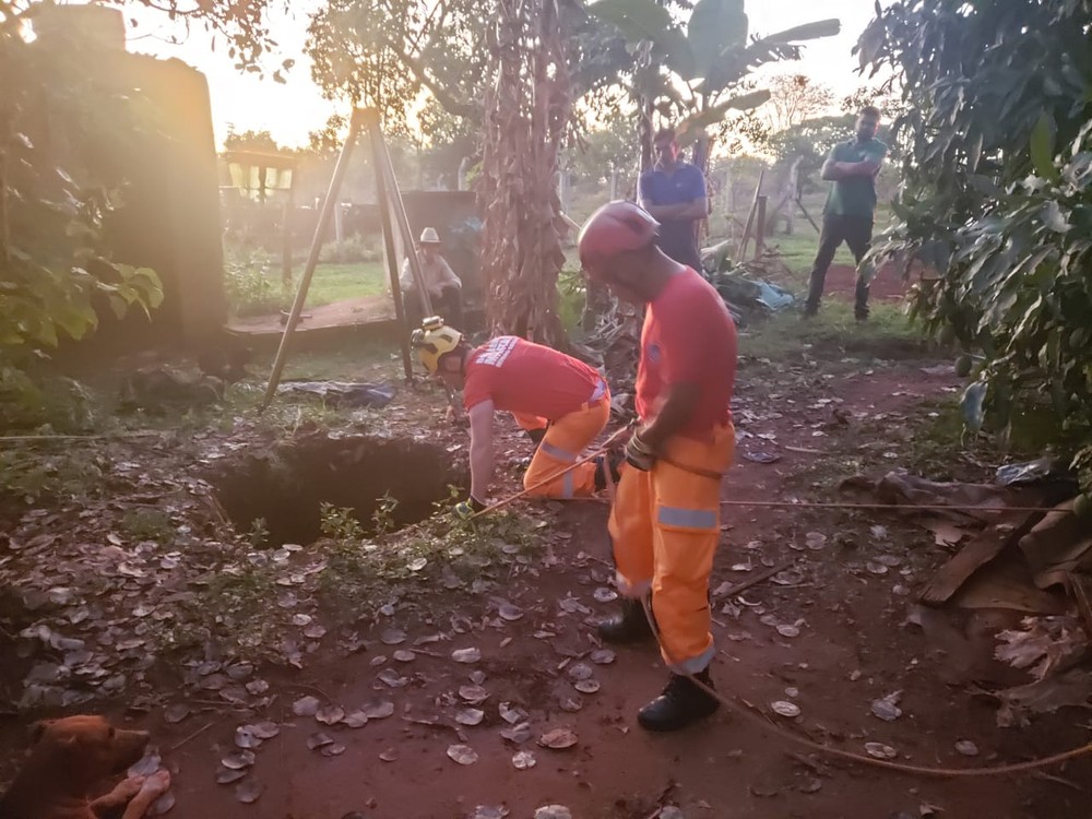 Vaca morre após cair em cisterna de 10 metros em Ituiutaba