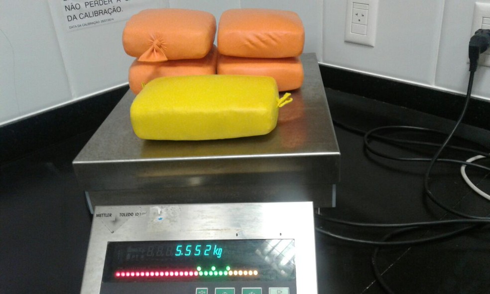 Skank foi apreendida no Aeroporto Pinto Martins (Foto: PF/Divulgação)