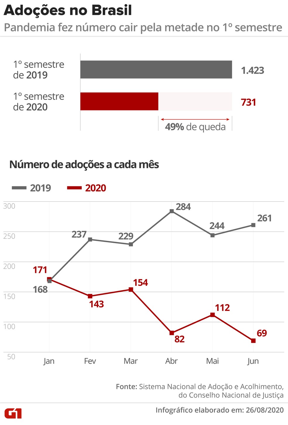 Número de adoções cai pela metade no Brasil em meio à pandemia — Foto: Rodrigo Sanches/G1