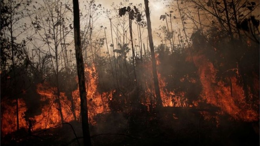 Região amazônica não possui a mesma capacidade de lidar com o fogo do que o Cerrado — Foto: Reuters