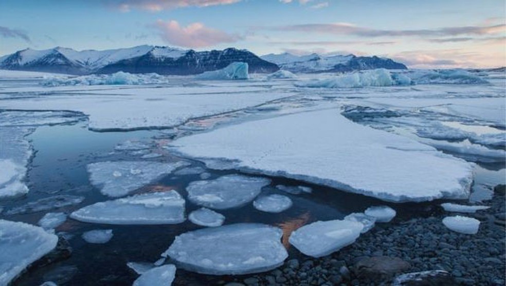O aquecimento global pode ser o principal inimigo dos tardígrados — Foto: Getty Images/BBC