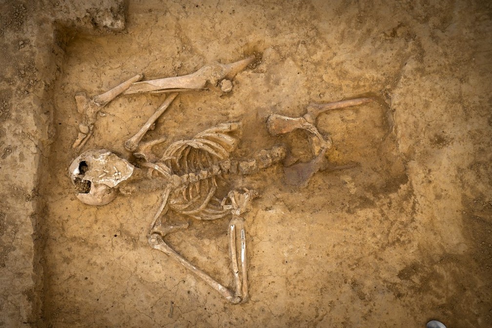 Esqueleto completo tem mais de 200 anos — Foto: Chris van Houts