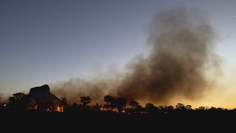 Seca e calor aumentam queimadas no Distrito Federal; fumaça toma conta do céu — Foto: Joelson Maia /TV Globo